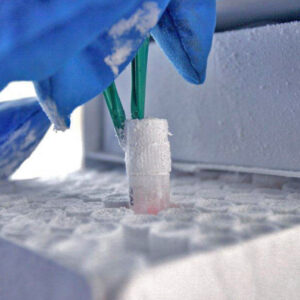 Cryopreservation Media