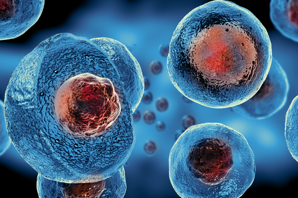 Human AB Serum Human AB Serum