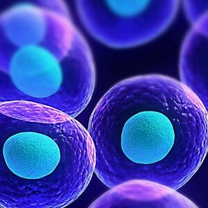 Exosome Isolation Kits